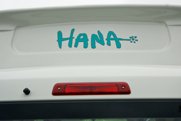 HANA　バック